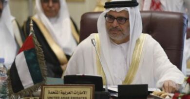 انور قرقاش، وزیر خارجه امارات