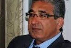 حسن حبیبی