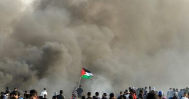 فلسطین