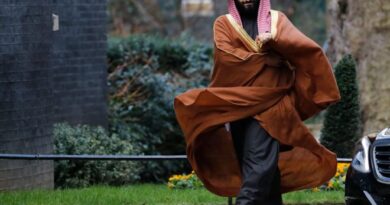 محمد بن سلمان، ولیعهد عربستان