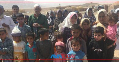 روستا در دهستان طبس مسینا