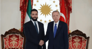 دیدار غیرمنتظره الشرع و اردوغان در استانبول