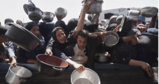 سازمان ملل: کل جمعیت نوار غزه با «خطر جدی قحطی» روبرو هستند