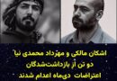 حکم اعدام مهرداد محمدی‌نیا و اشکان مالکی، دو شهروند معترض دی‌ماه اجرا شد