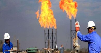 رییس سازمان اداری و استخدامی: تبدیل وضعیت ۷۰۰ هزار نفر از نیروهای شرکتی امکان‌پذیر نیست